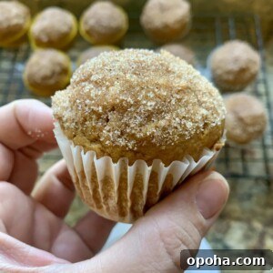 One-Bowl Pumpkin Spice Muffins Recipe for Moist Fall Baking 10 img 2218 9