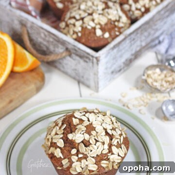 Vegan Bran Muffins