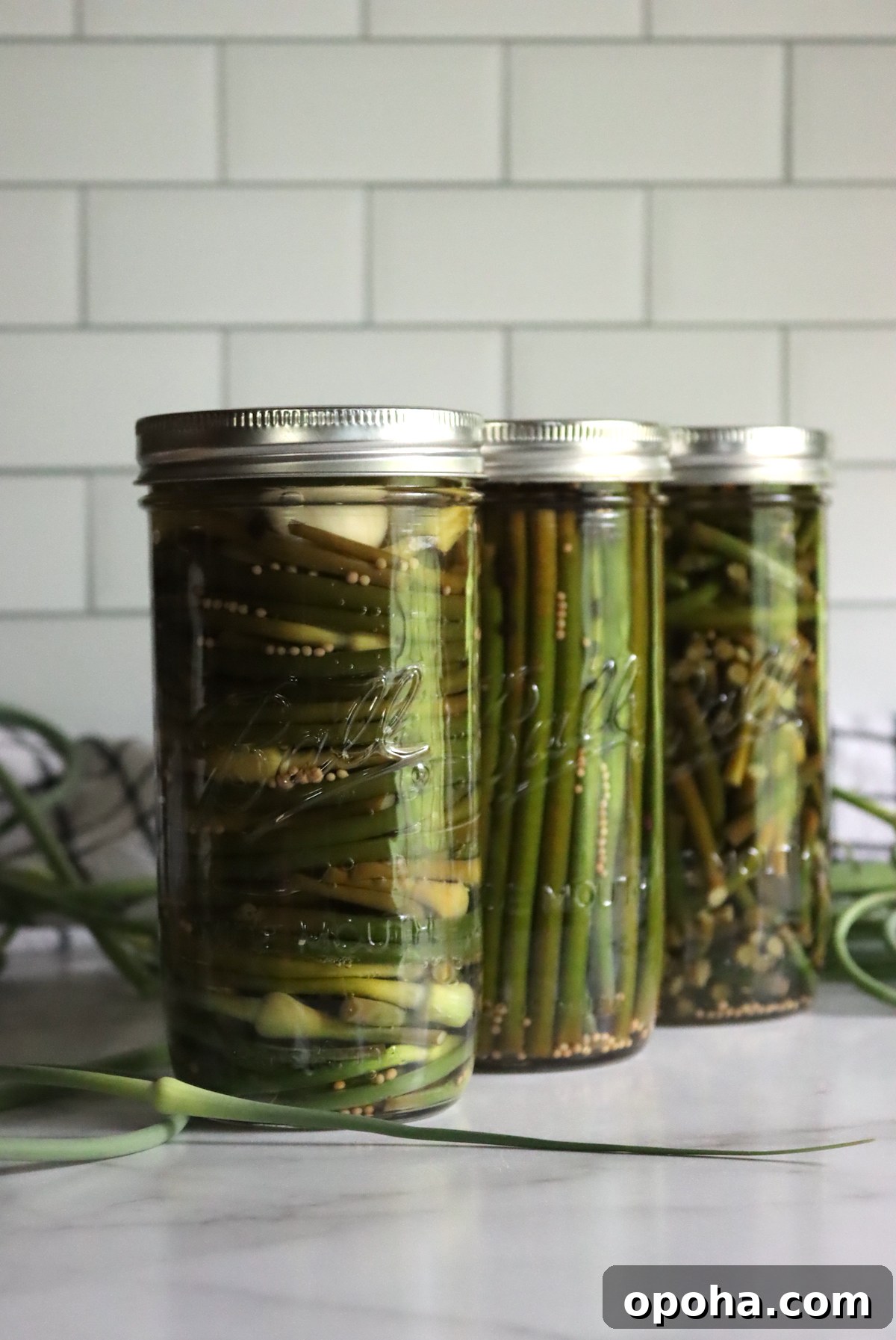 Pickled Garlic Scapes