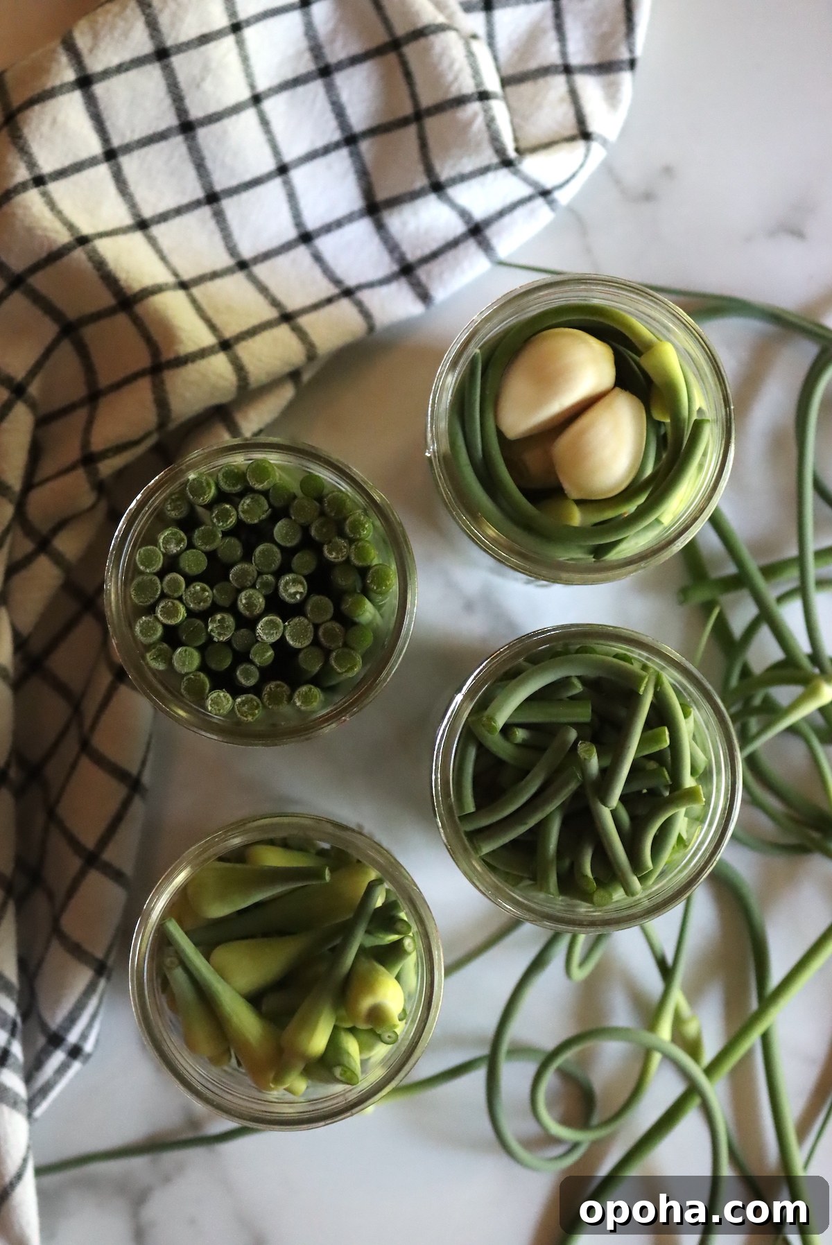 Making Pickled Garlic Scapes
