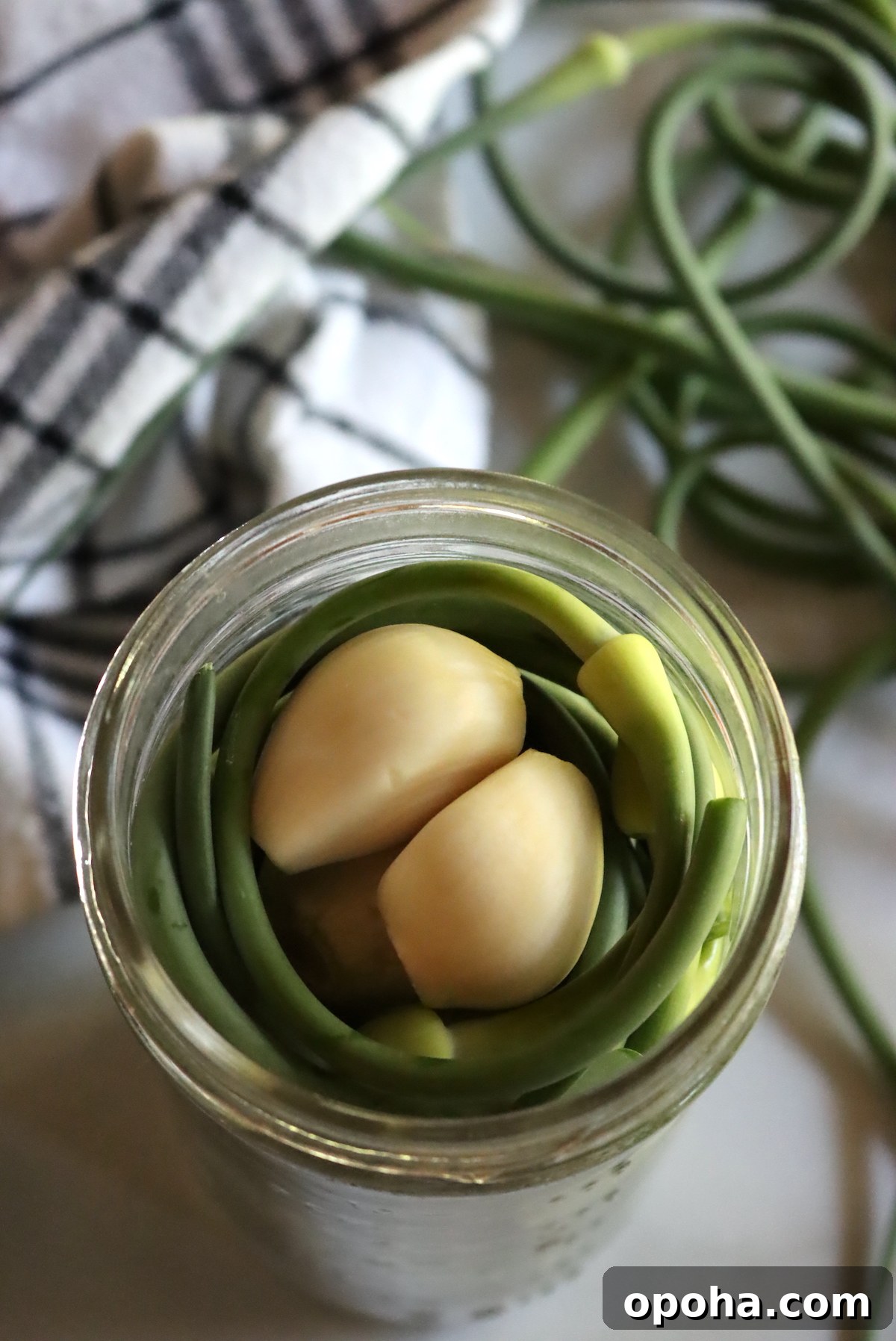 Pickled Garlic Scapes with garlic