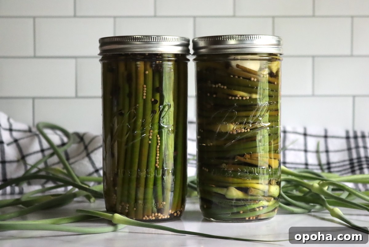 Pickled Garlic Scapes