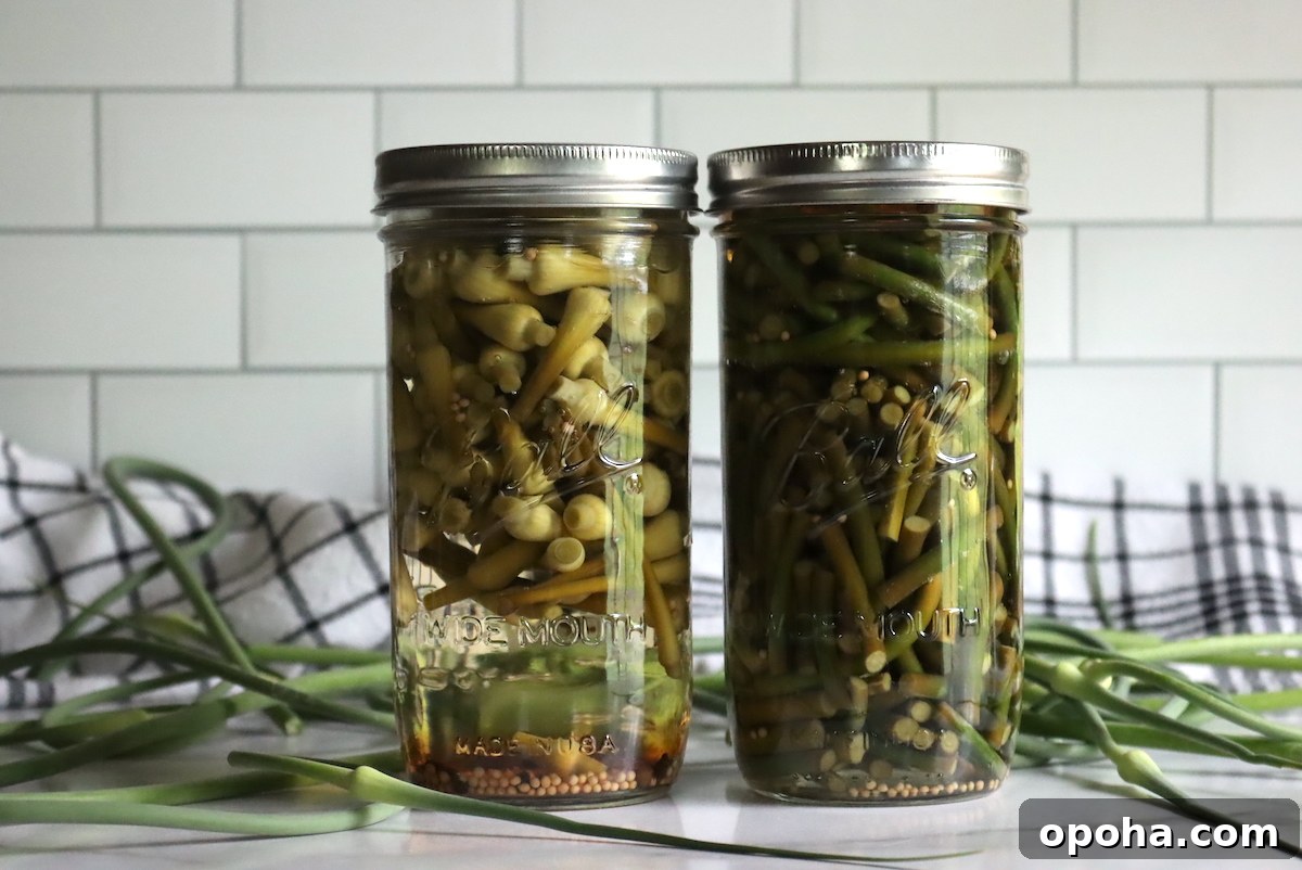 Pickled Garlic Scapes