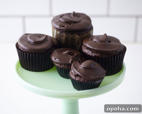 How to Make a Charming Cupcake Terrarium Step-by-Step 12 Arranging cupcakes and decorations