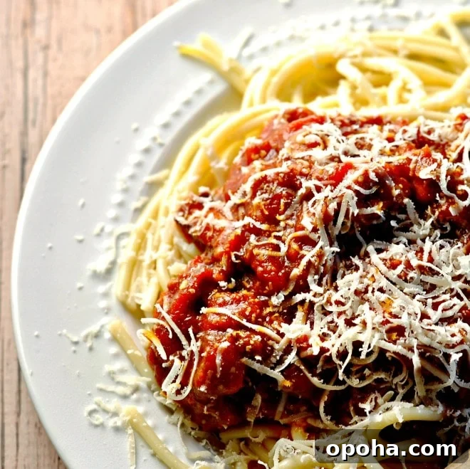 plate of thick spaghetti sauce