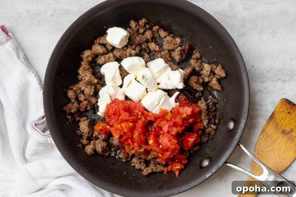 Sausage Dip Browned sausage in skillet with Rotel Tomatoes and Cubed cream cheese.