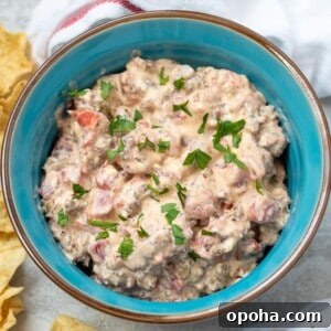 Spicy Rotel Sausage Dip Recipe for Game Day Snacks 2 Rotel Cream Cheese Sausage Dip in blue serving dish next to tortilla scoops.