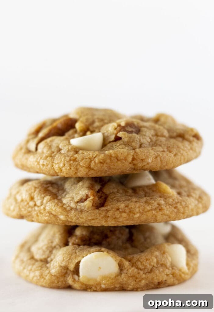 Three cookie butter cookies stacked on each other.