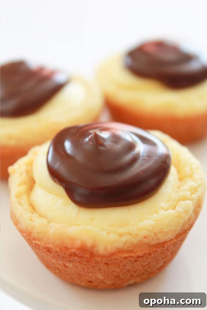 Boston Cream Pie Cookie Bites with Chocolate Ganache