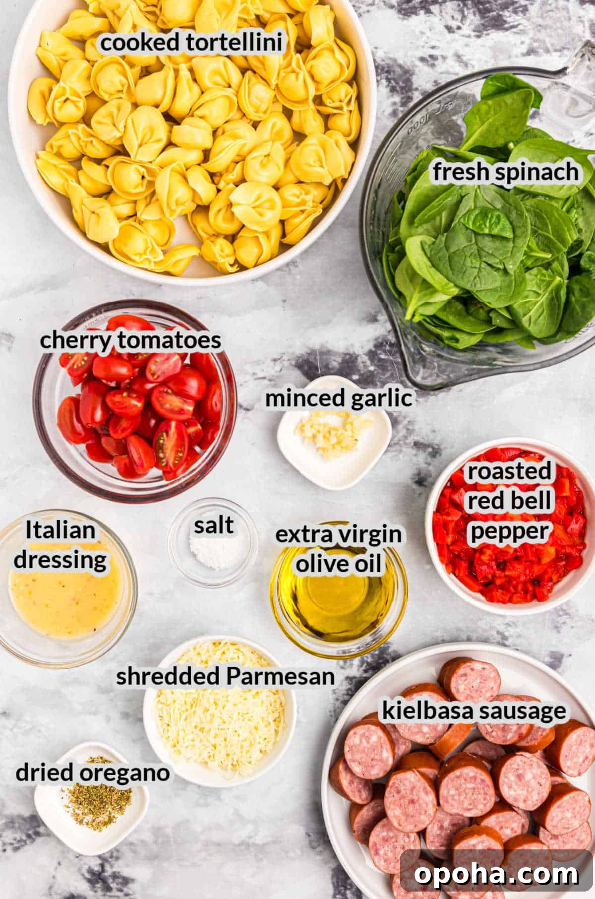 Crispy Blackstone Tortellini Skillet with Garlic Butter Sauce 3 Overhead Image of Blackstone Tortellini Ingredients