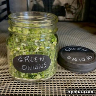 Dehydrated Green Onions