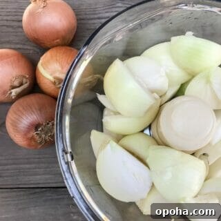 How to Freeze Onions