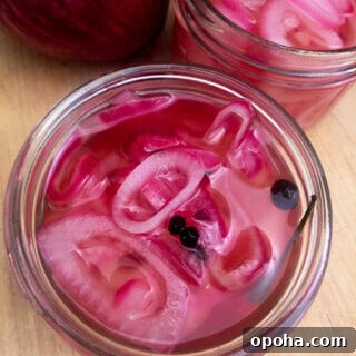 Pickled Red Onions