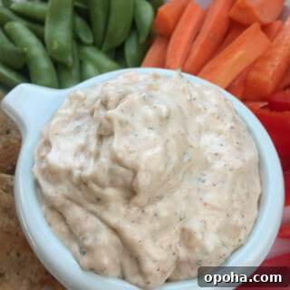Homemade Onion Dip