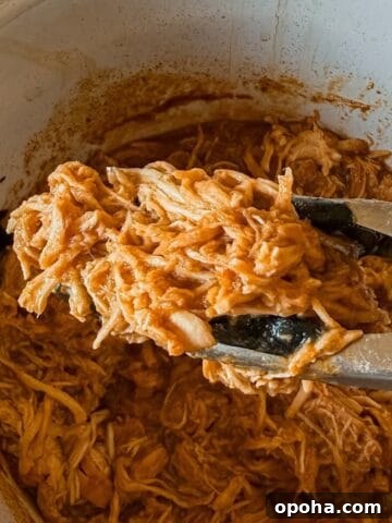 A close up of shredded chicken with bbq sauce made in the crockpot.