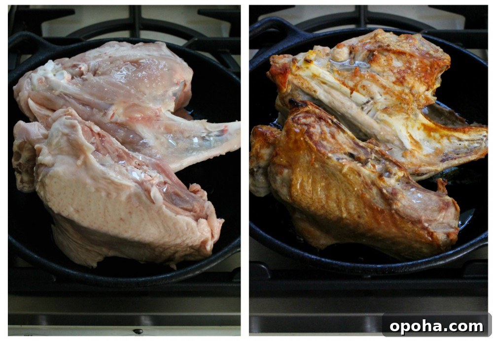 roasting-turkey-carcass
