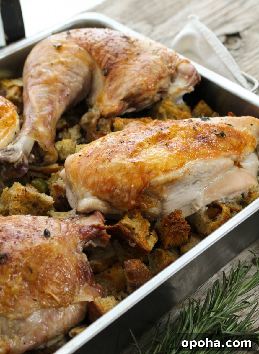 deconstructed-turkey-4