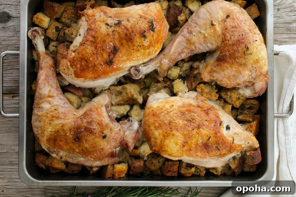 deconstructed-turkey-5