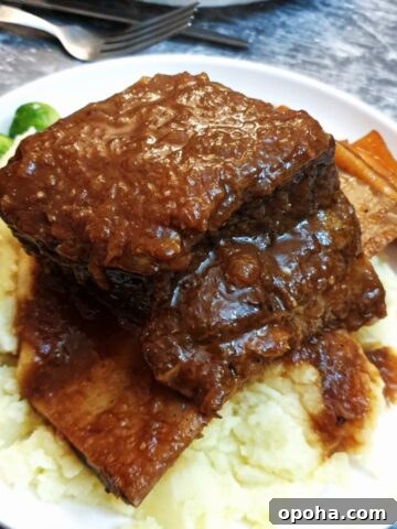 A piece of short rib on mashed potatoes.