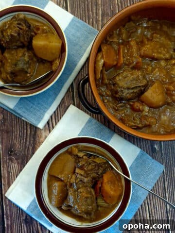 A dish of oxtail stew.