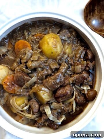 Bowl of beef and kidney stew.