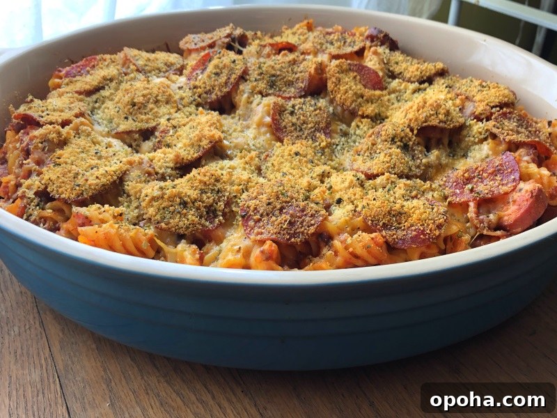 Baked meat lovers pasta horizontal overhead view of casserole dish
