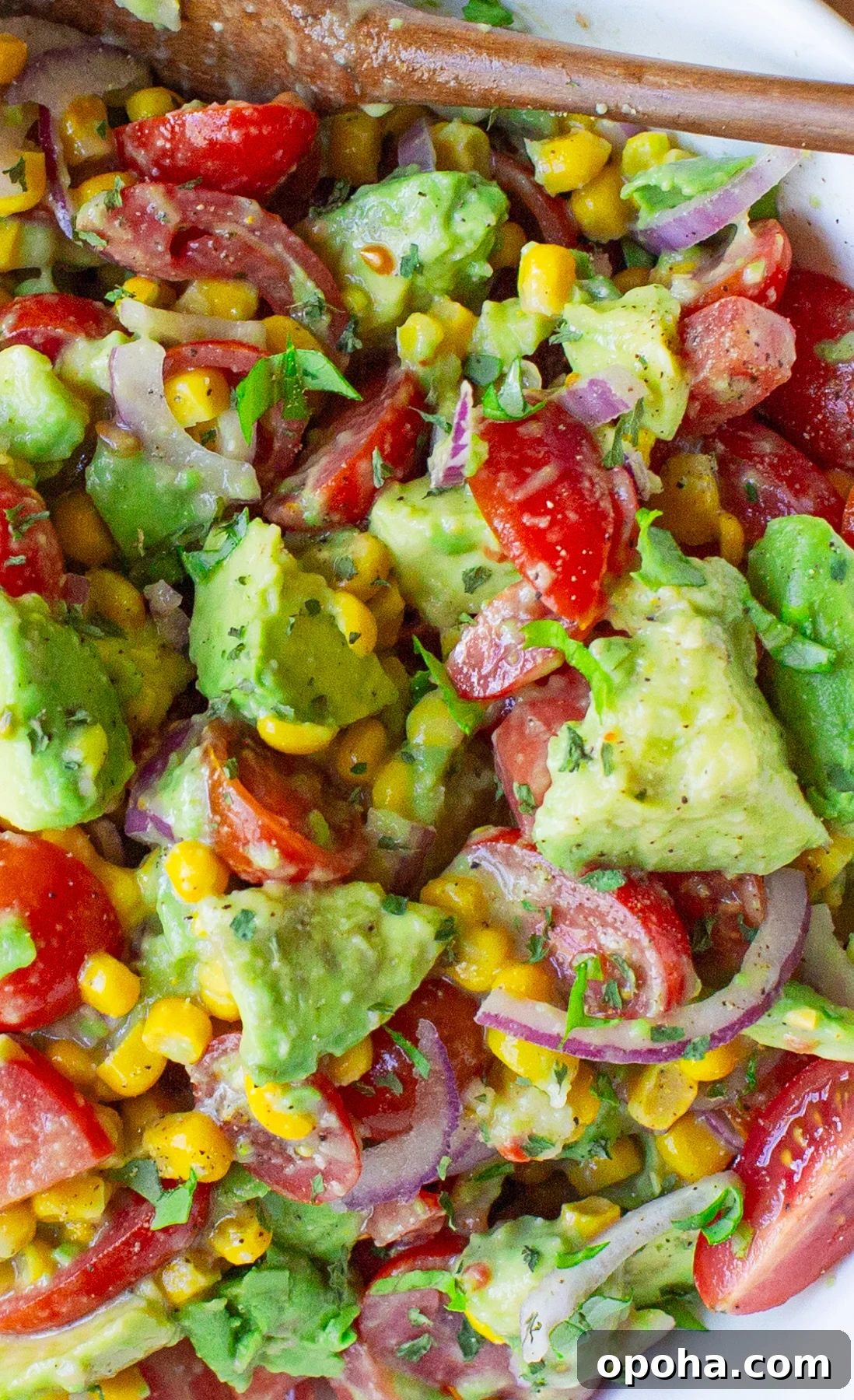 Avocado and Corn Salad with Zesty Italian Dressing 2 zoom in photo of avocado corn salad