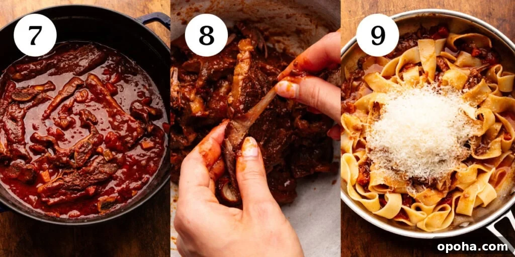 Braised Short Rib Ragu with Pappardelle Pasta 6 A collage of three photos showing how to make beef short ribs. The first photo is step seven, showing the finished short ribs in a cast iron pot. The second photo, step eight, shows two hands removing the fat from the cooked short ribs. The third photo, is step nine, showing pappardelle noodles with shredded cheese in the ragu sauce in a sauce pan.