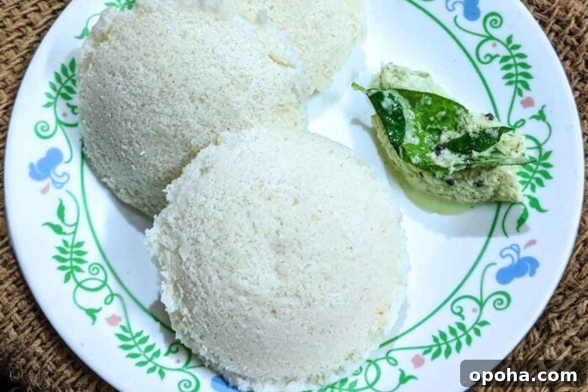 15 Classic Indian Vegetarian Recipes That Always Impress 14 Idlis on a plate