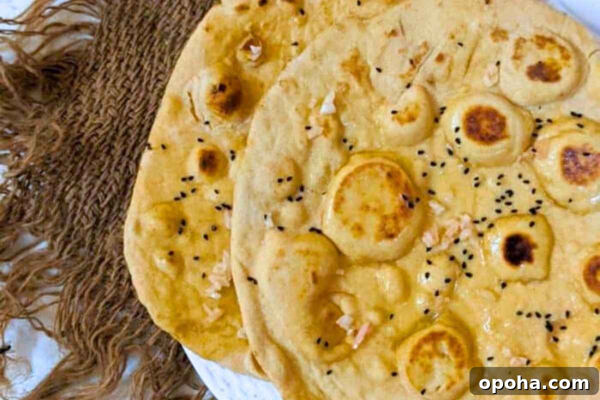 15 Classic Indian Vegetarian Recipes That Always Impress 3 Naan in a plate