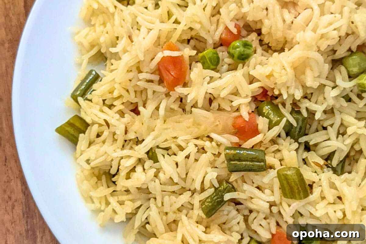 15 Classic Indian Vegetarian Recipes That Always Impress 5 Vegetable pulao on a plate