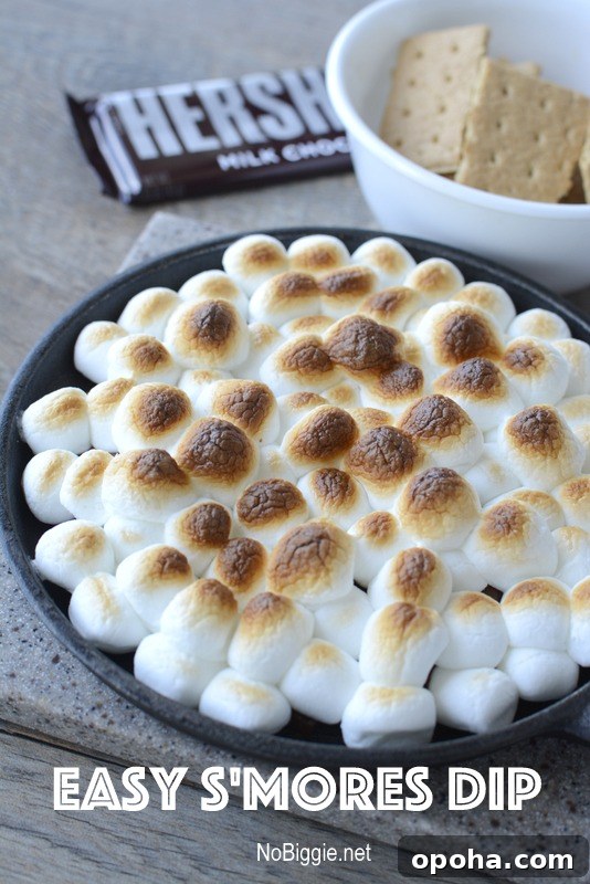 Easy S'mores Dip | NoBiggie.net
