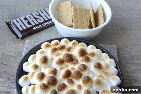 s'mores Dip | NoBiggie.net