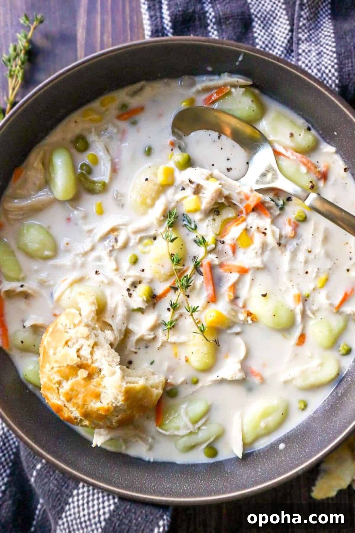 Creamy Slow Cooker Chicken Pot Pie Soup Recipe 6 chicken and cream of mushroom soup