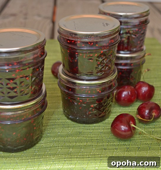 Cherry Raspberry Jam Recipe: Homemade Spread with Fresh Fruit 2 cherry raspberry jam