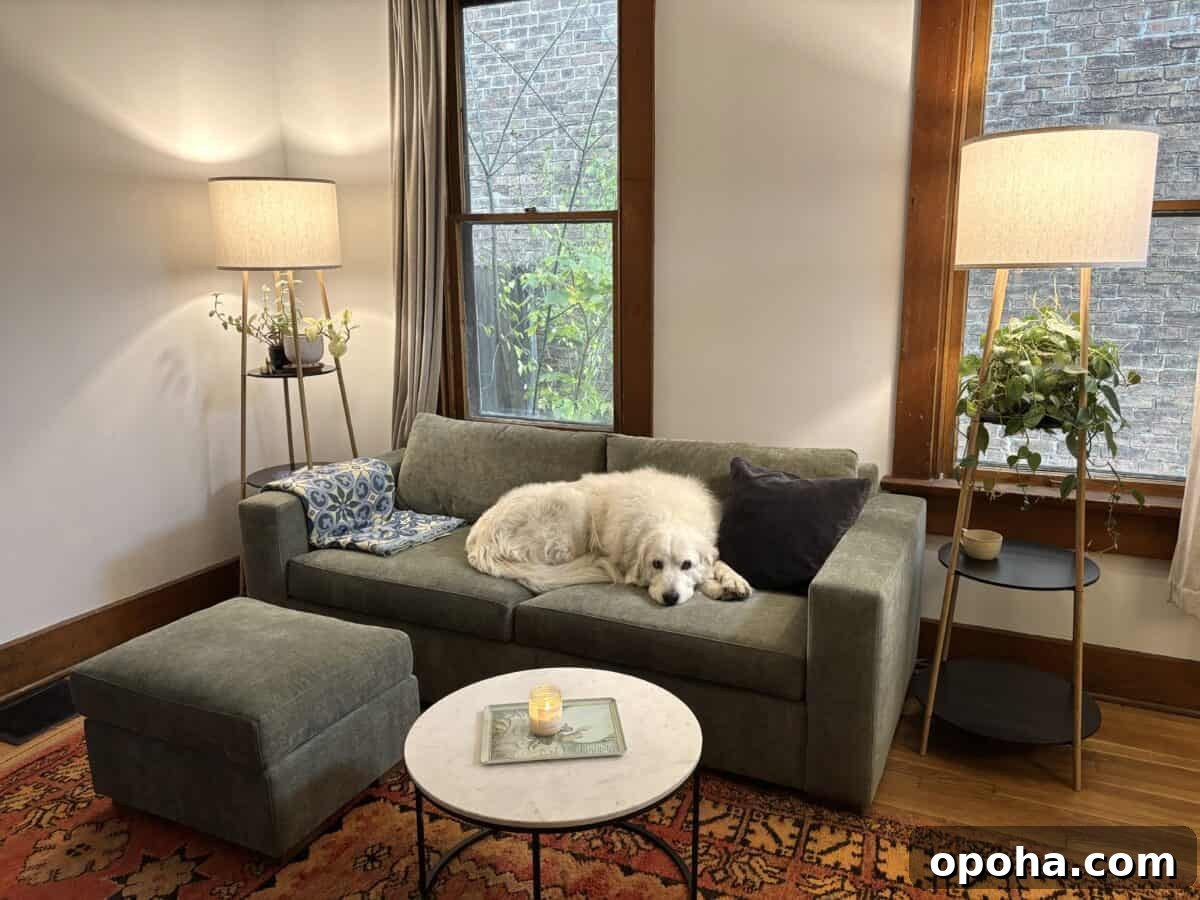 A large white dog rests on a green sofa in a cozy living room with soft lighting, houseplants, and a red patterned rug.
