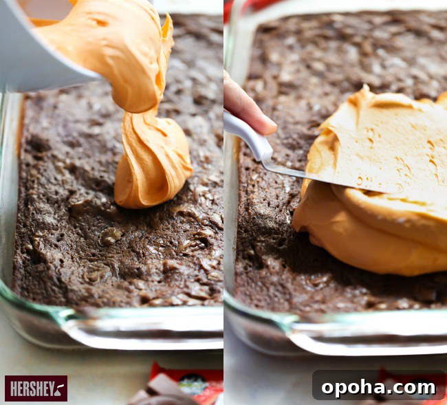 Kit Kat Halloween Brownies Recipe — Spooky Candy Bar Brownies 5 Brownies decorated for Halloween