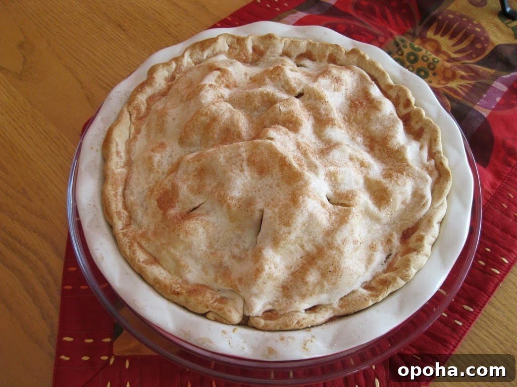 Apple and Pear Pie Recipe: Flaky Crust with Spiced Fruit Filling 2 Apple pear pie