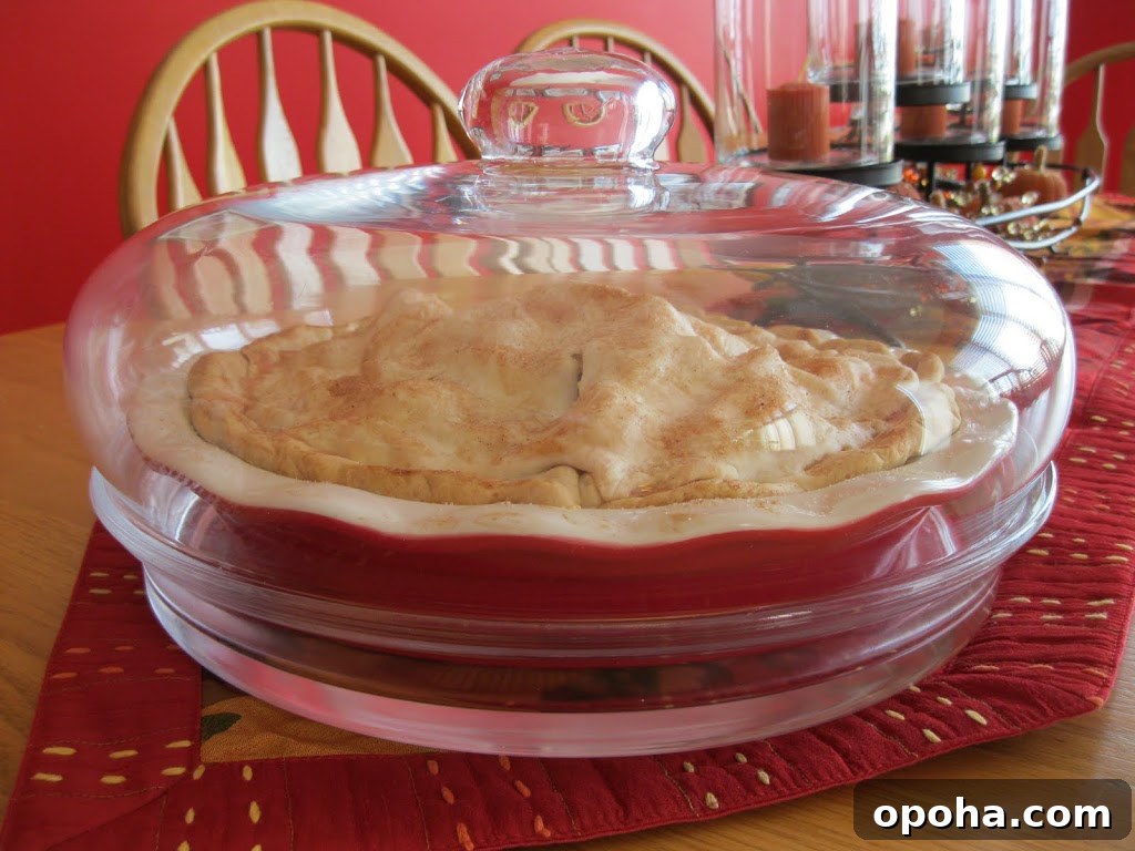 Apple and Pear Pie Recipe: Flaky Crust with Spiced Fruit Filling 4 Pie keeper
