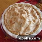 Apple and Pear Pie Recipe: Flaky Crust with Spiced Fruit Filling 5 Overhead of apple pear pie in a white pie dish