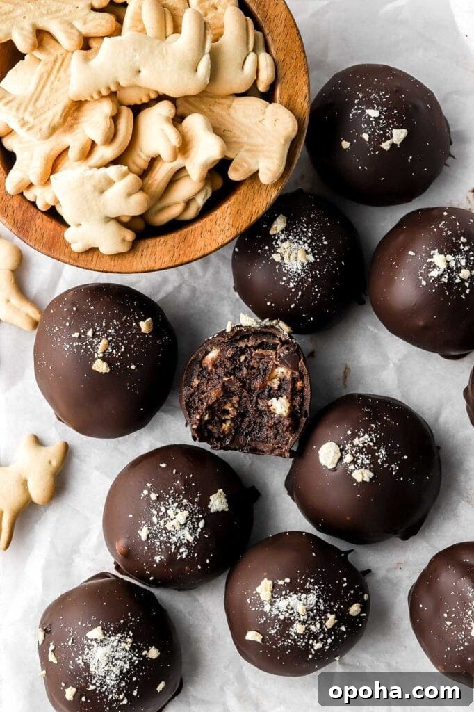 Animal Cracker Chocolate Truffles-9