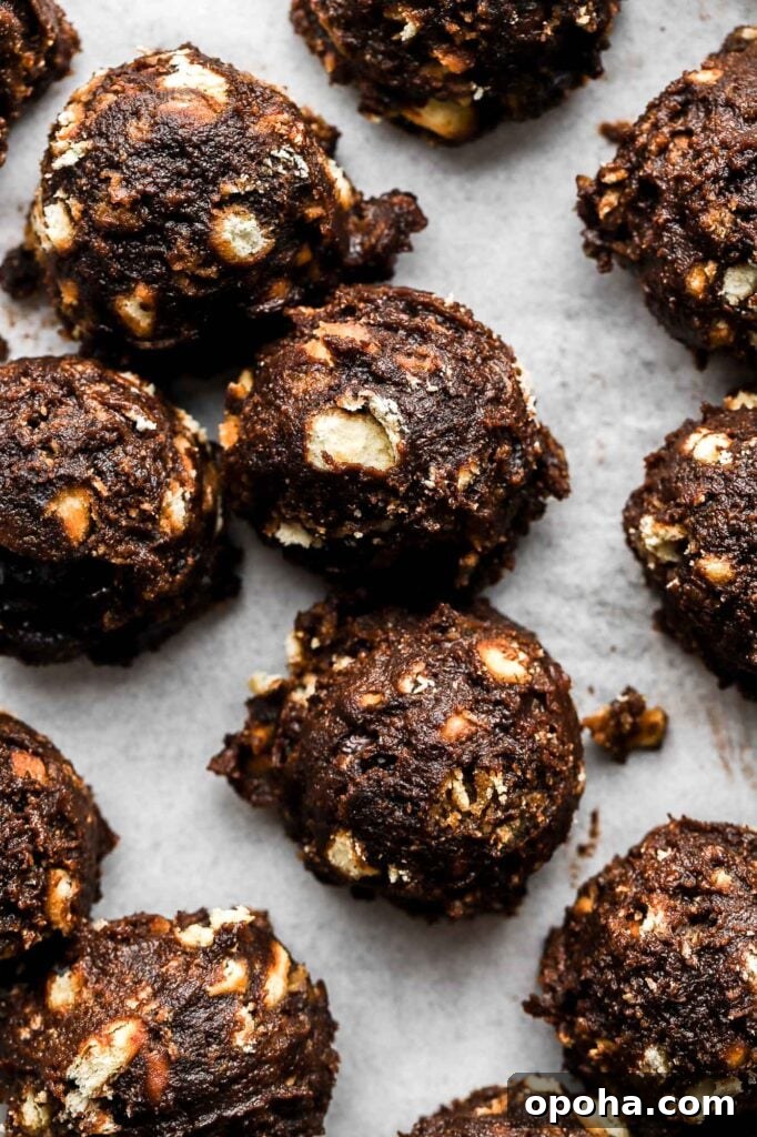 Chocolate Animal Cracker Truffles-7