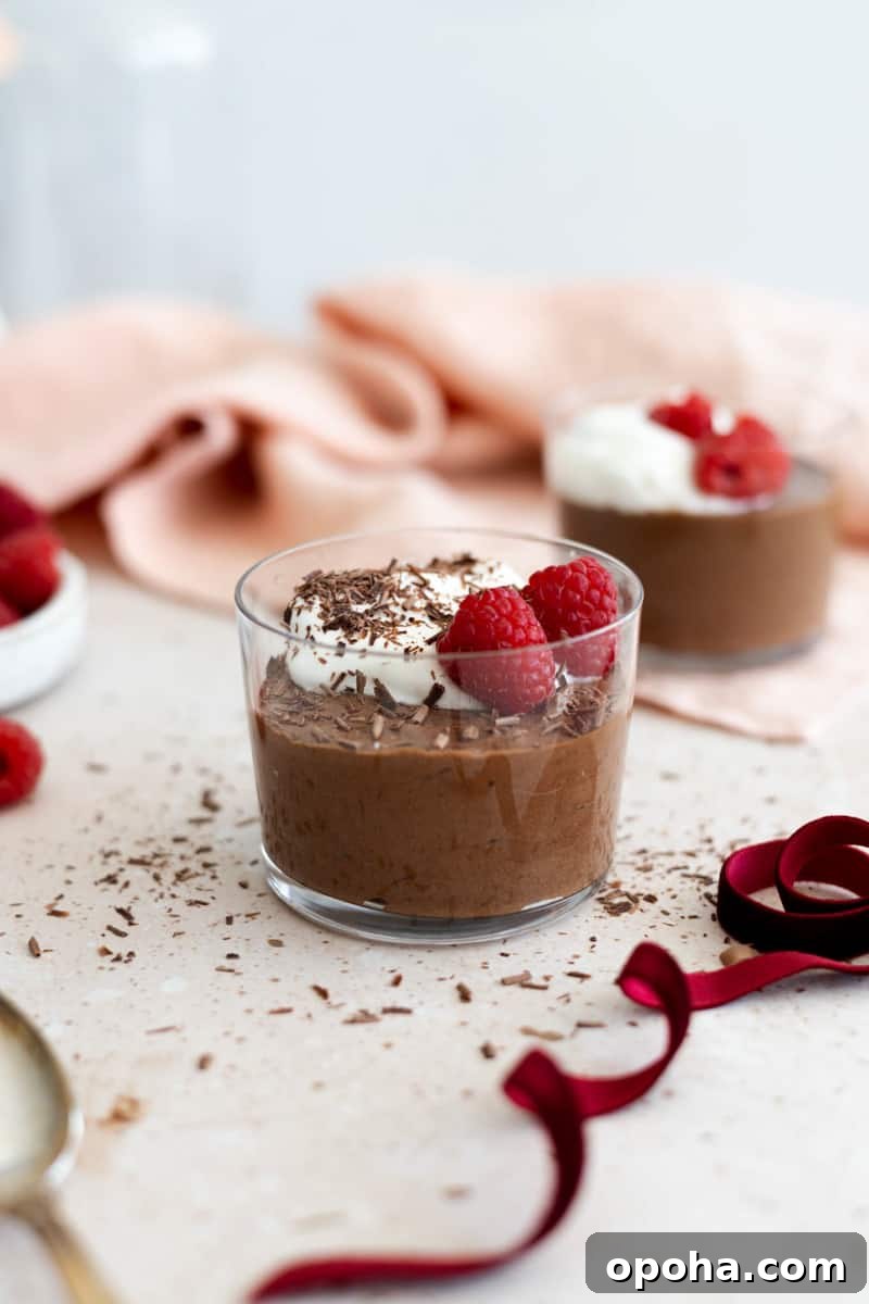 Decadent Dairy-Free Chocolate Mousse Recipe 2 Dairy-Free Chocolate Mousse in a glass cup.