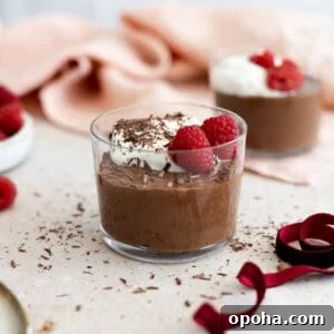 Decadent Dairy-Free Chocolate Mousse Recipe 11 Dairy-Free Chocolate Mousse in a glass cup.