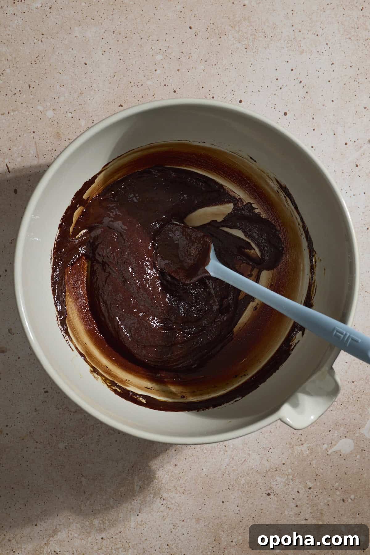 Decadent Dairy-Free Chocolate Mousse Recipe 7 Chocolate mixture in a large bowl.