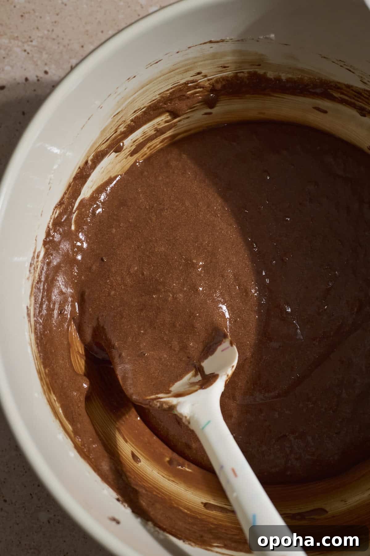 Decadent Dairy-Free Chocolate Mousse Recipe 8 Chocolate mousse mixed together in a large bowl.