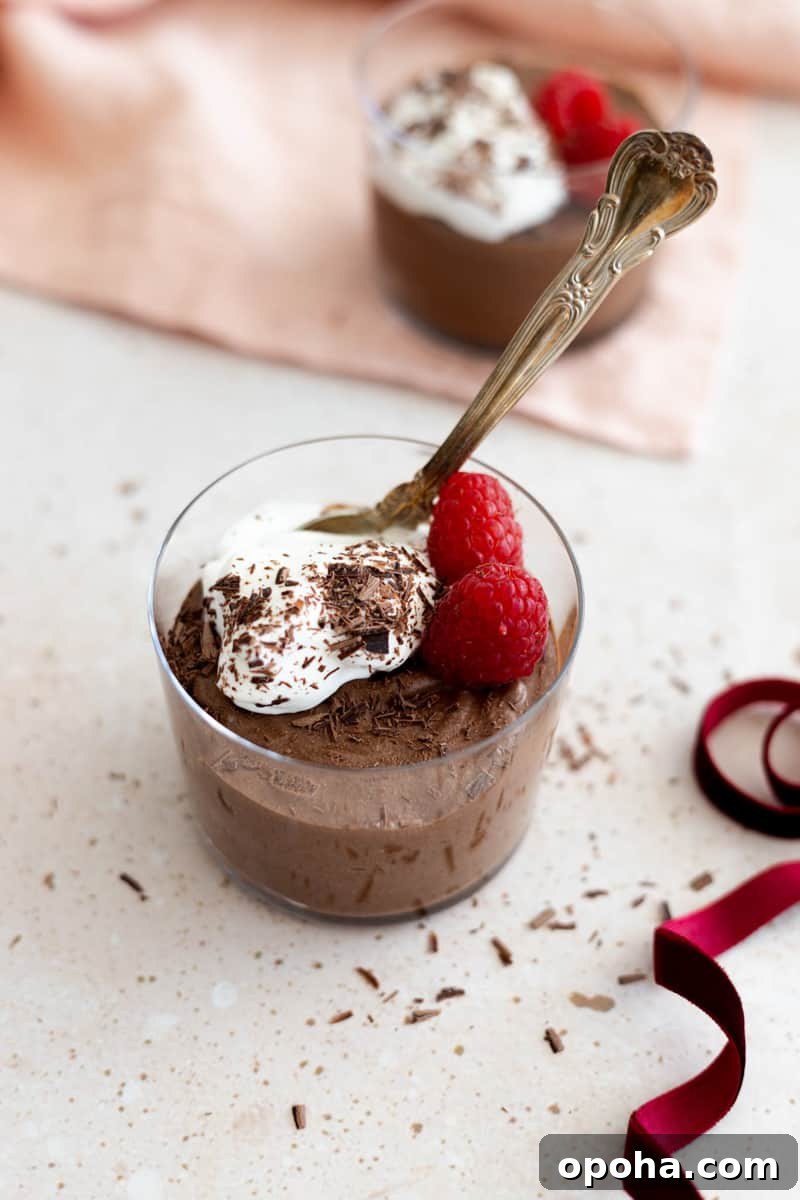 Decadent Dairy-Free Chocolate Mousse Recipe 10 Dairy-Free Chocolate Mousse in a glass cup with a spoon.
