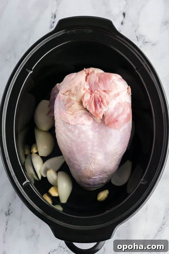Raw turkey breast in a crock pot over onions and garlic.
