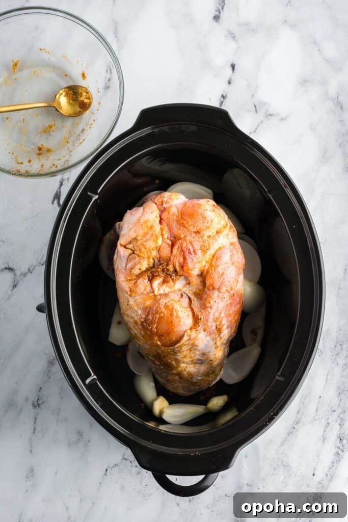 Seasoned raw turkey breast placed on a bed of onions and garlic in a slow cooker, prepped for cooking.