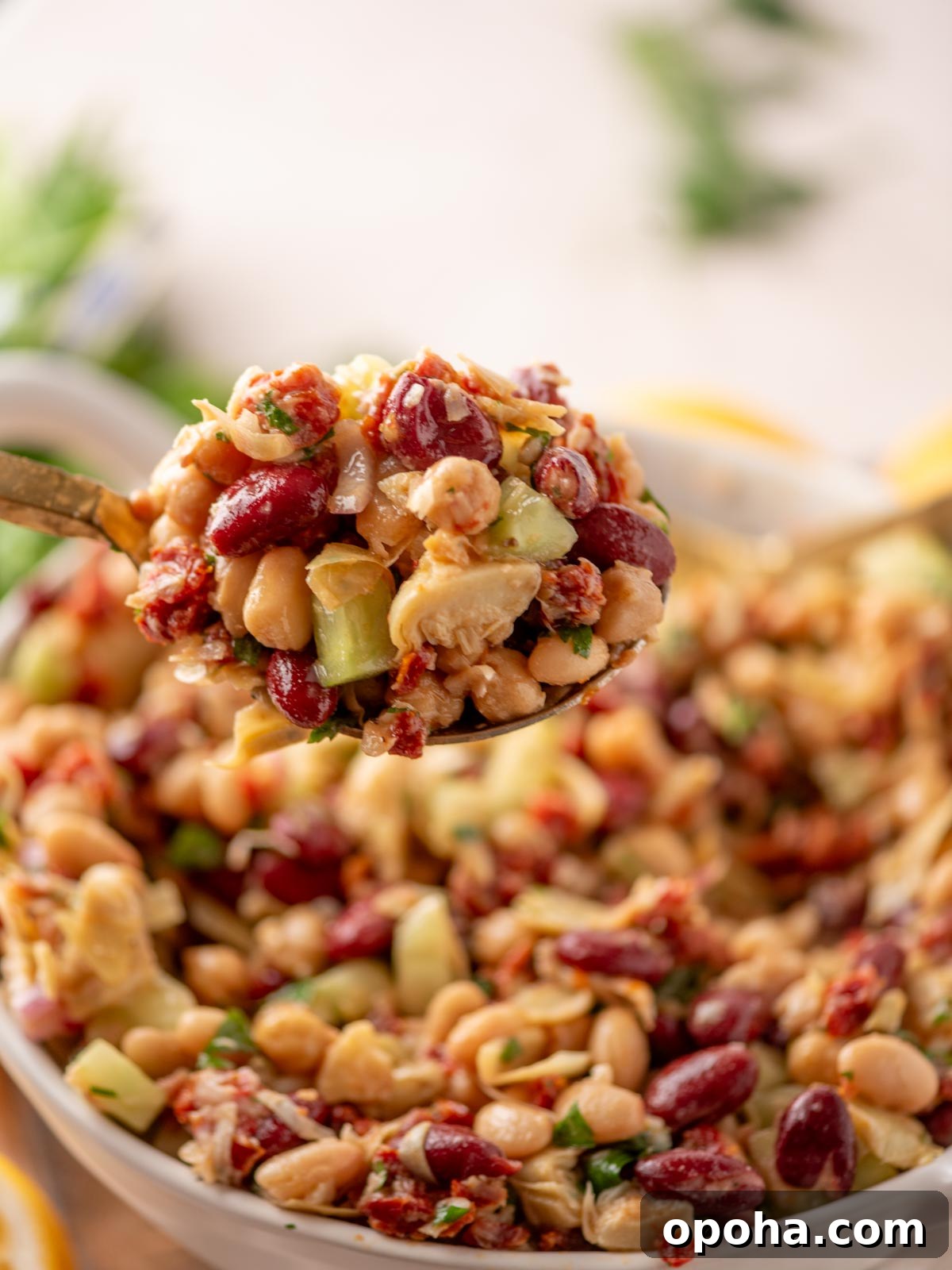 Zesty Three-Bean Salad Recipe for Picnic & Meal Prep 6 A spoonful of mixed bean salad with kidney beans, chickpeas, white beans, chopped cucumber, parsley, and sun-dried tomatoes, held above a bowl filled with the same salad.